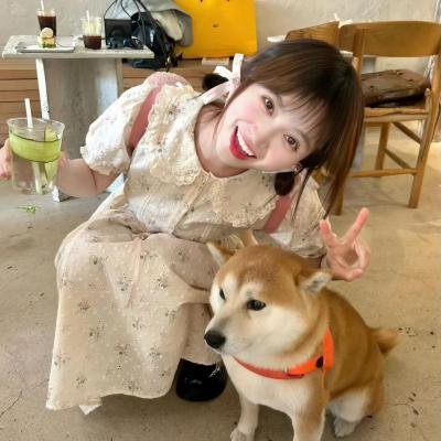 恶犬之下