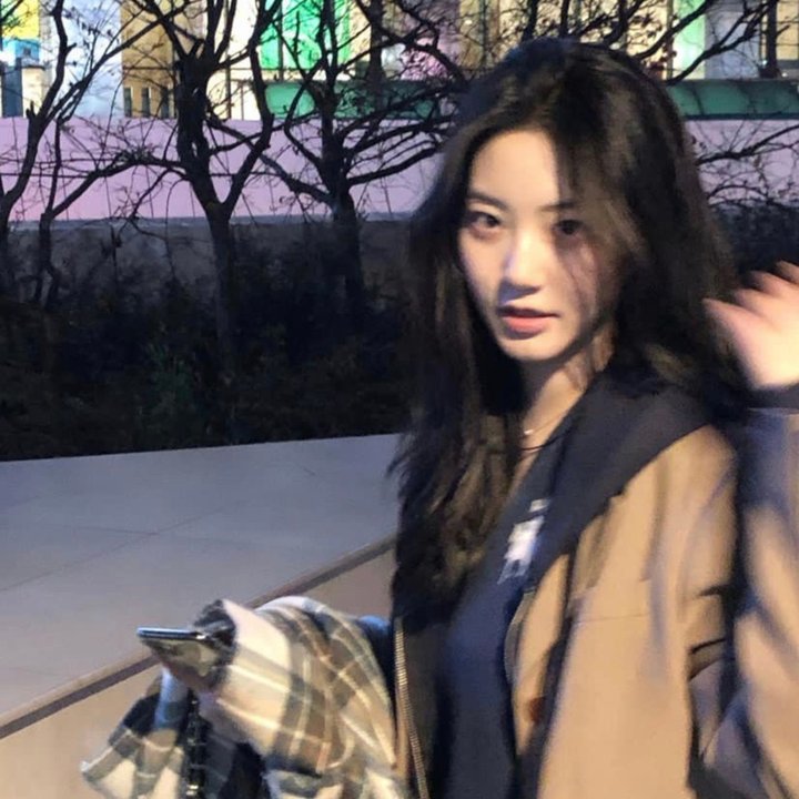 俏房东与妙房客