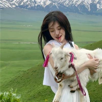 熊猫大侠